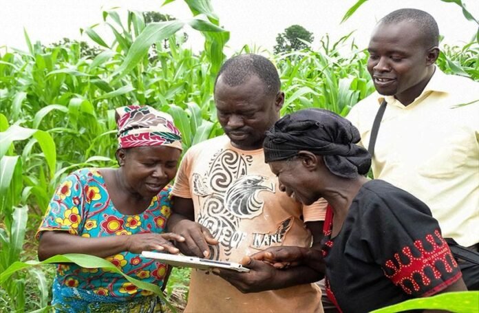 Data and Technology Could Unlock Africa's US$117 Billion Agricultural Finance Gap
