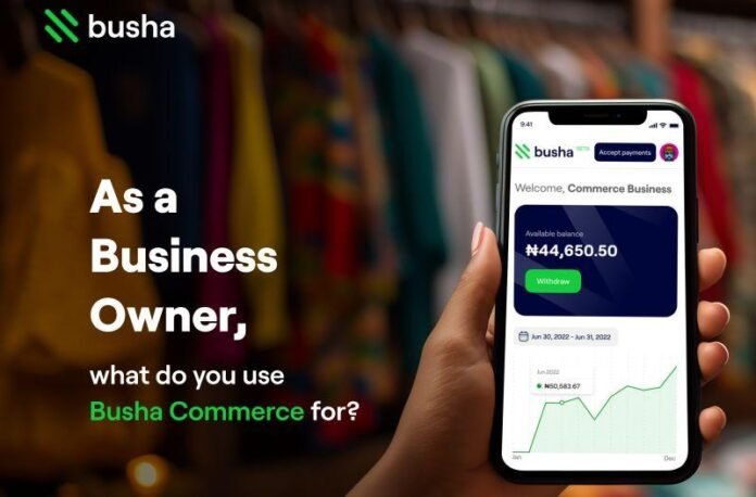 Nigerian Fintech Busha Business Partners with Tether to Expand Stablecoin Infrastructure Across Africa